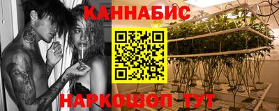 крисы Сланцы