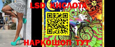 крисы Сланцы