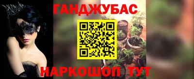 крисы Сланцы
