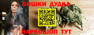 крисы Сланцы