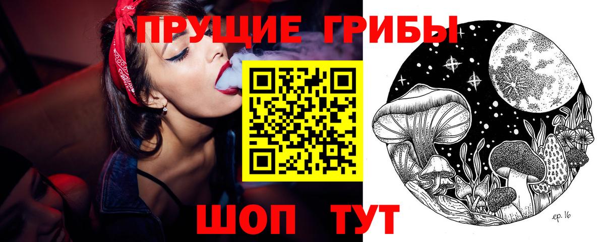Прохладный  Галлюциногенные грибы Cubensis  Вход с VPN  Псилоцибиновые грибы MAGIC MUSHROOMS 